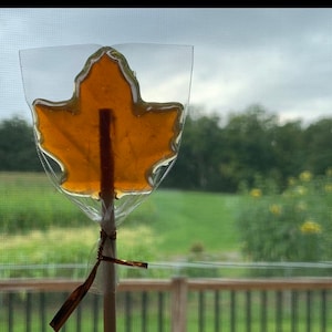 Maple Lollipop (10 pack)