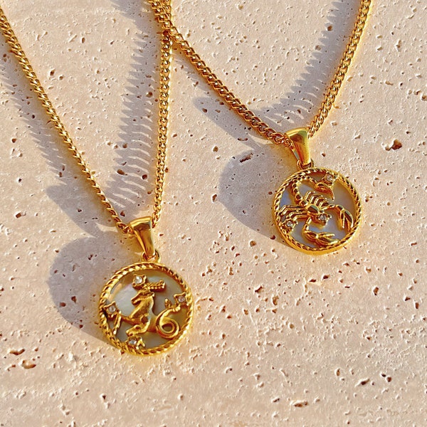 Personalized Titanium Gold Zodiac Coin Necklace, Abalone Shell Necklace, Birthstone Necklace, Birth Flower Necklace, Custom Letter Necklace