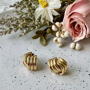 May include: A pair of gold-toned, twisted, hoop earrings. The earrings are on a white background with a floral design.