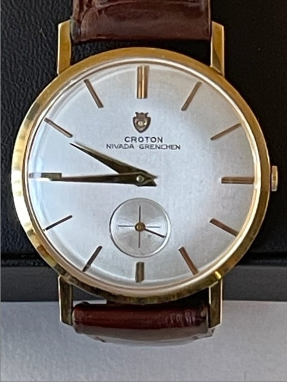 Nivada croton new arrivals
