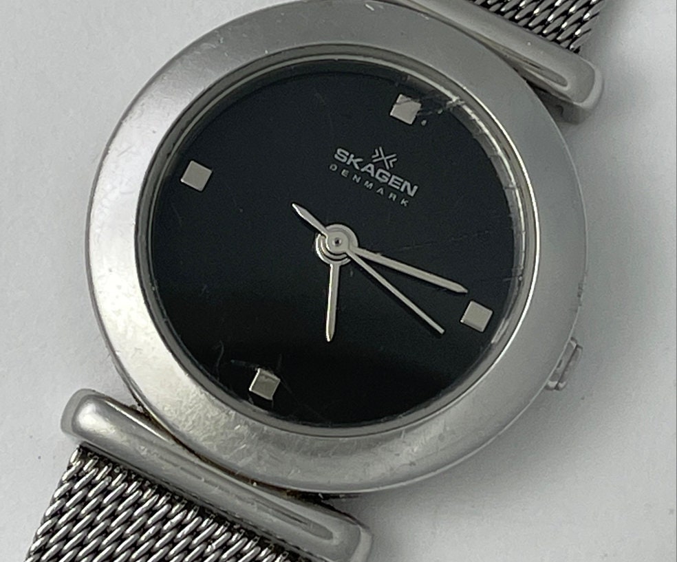 Skagen Denmark Ladies Stainless Steel Case and Original  display picture 2