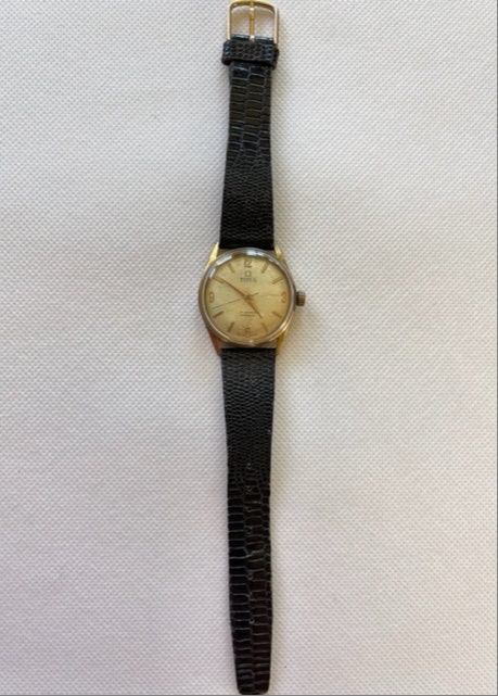 Buy Titus Solvil Et Titus Gold Capped Vintage Screw Down Case Back