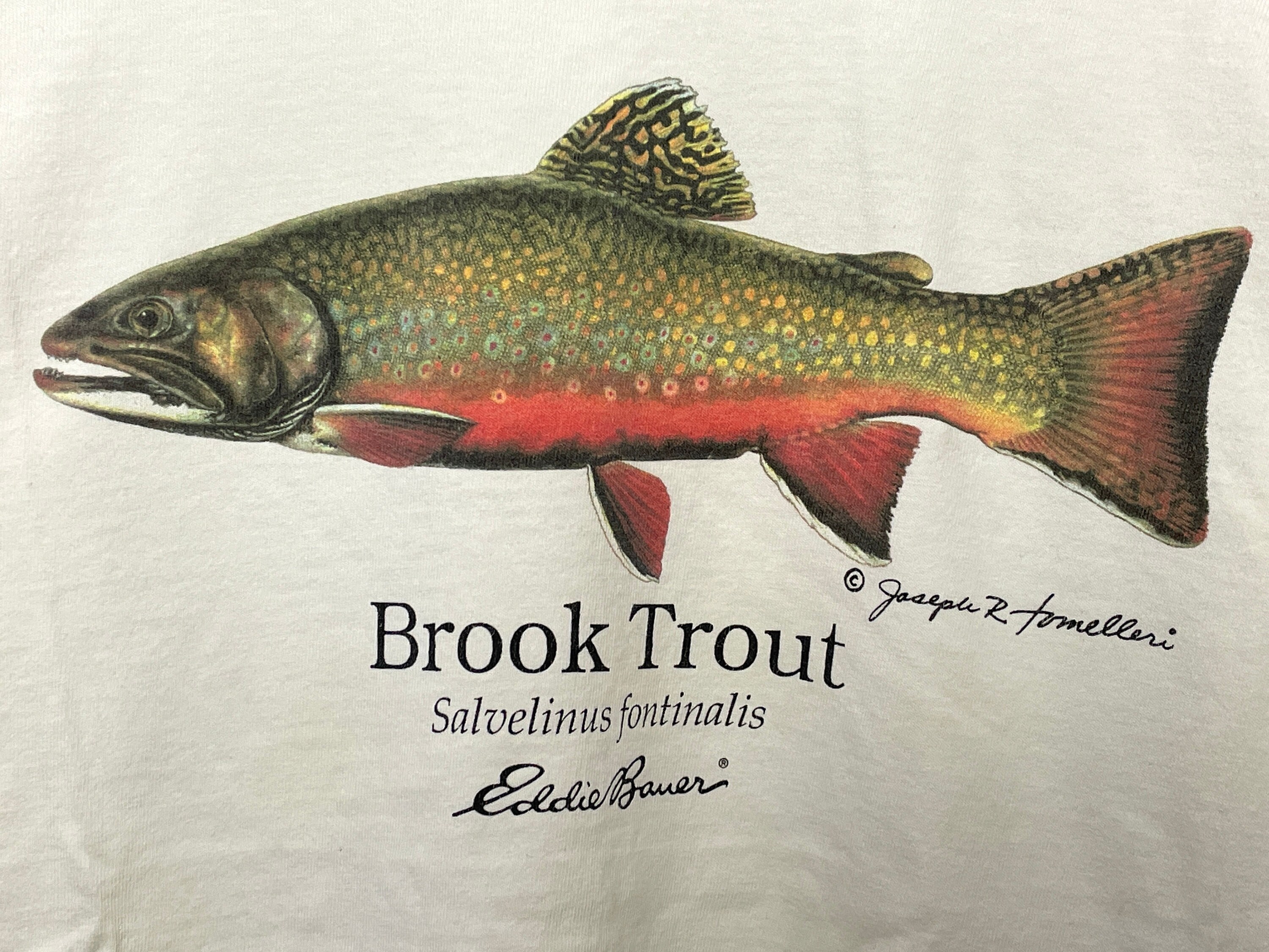 Vintage 1990s Eddie Bauer Brooke Trout Fly Fishing Spell Out