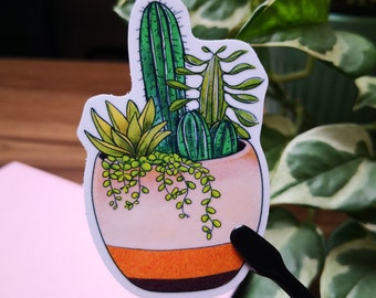 Cactus Stickers | Succulent Stickers | House Plant Stickers | Waterproof 3-inch Glossy Vinyl Sticker | Water Bottles | Laptops | Car