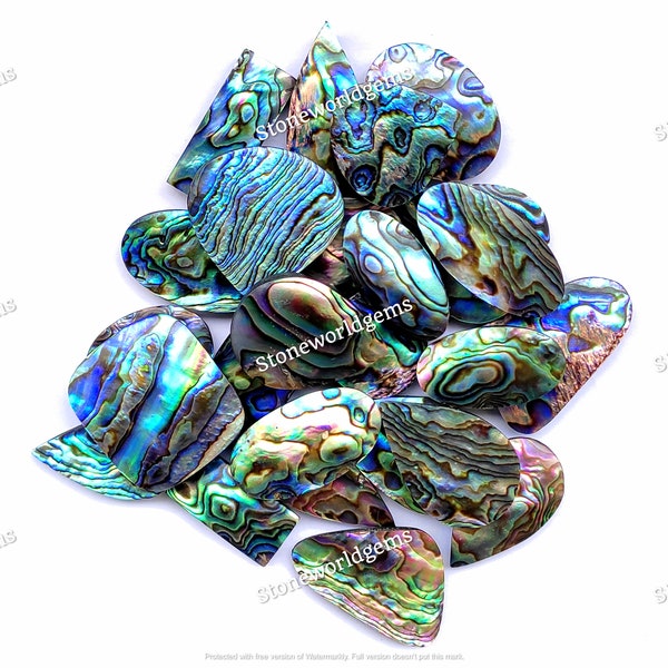 Cabochon Abalone Shell  ! Colorful Abalone Shell Mix Shape- Wholesale Lot of Loose Abalone Shell Mix Size- For Making Jewelry/Necklace