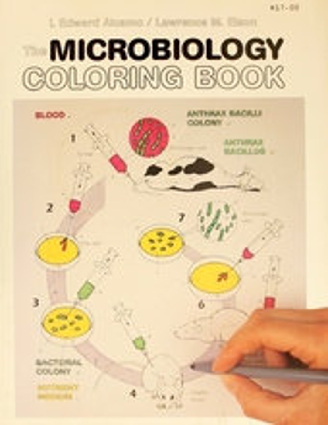 The Microbiology Coloring Book Etsy