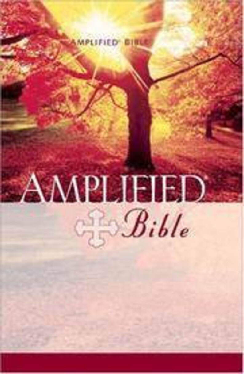 Amplified Bible Etsy