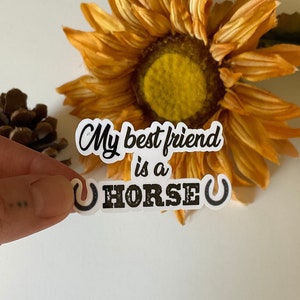 My Best Friend Is A Horse Sticker, Horse Sticker 1.5x2.5in, glossy vinyl sticker, water bottle sticker, laptop sticker