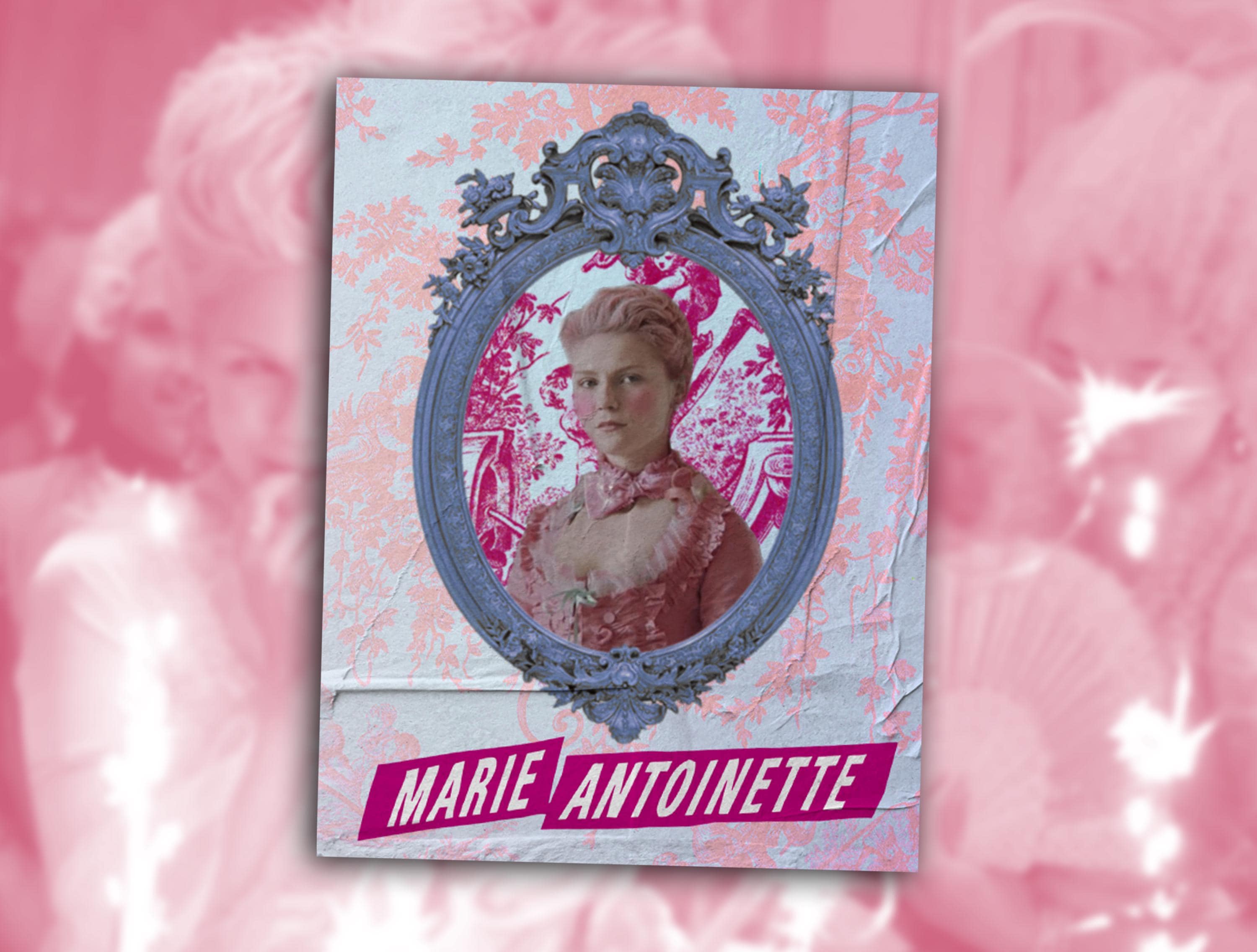 Marie Antoinette Sofia Coppola Book - Etsy