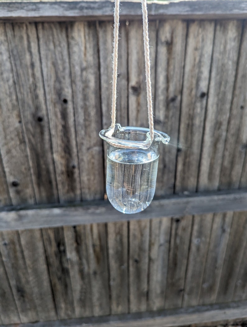 Glass Plant Hanger Etsy
