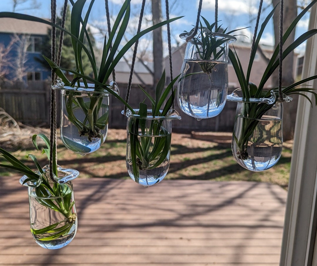 Glass Plant Hanger Etsy