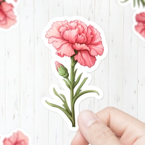 Carnation Sticker | Kiss Cut Sticker | High Quality | Cute Sticker | Flower Sticker | Pink Carnation | 3" | Mystical Clarity