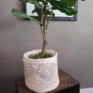 May include: A potted fiddle leaf fig plant in a white fabric planter with a black geometric pattern. The planter is sitting on a wooden table.