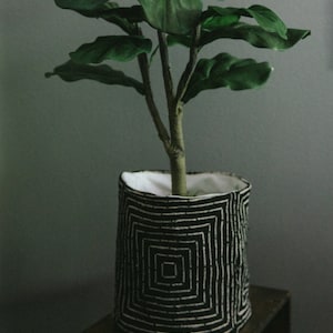 May include: A green leafy plant in a black and white geometric patterned planter. The planter is sitting on a wooden surface.