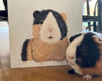 CUSTOM GUINEA PIG Portrait