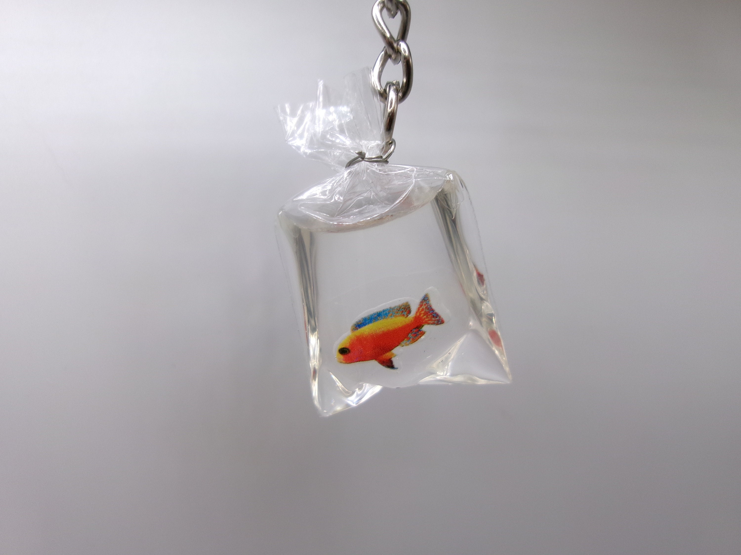 Fish in keychains hot sale