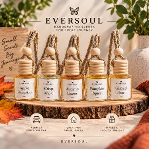 Fall Collection  Hanging Car Diffuser | Car Air Freshener | Scented Car Accessory |