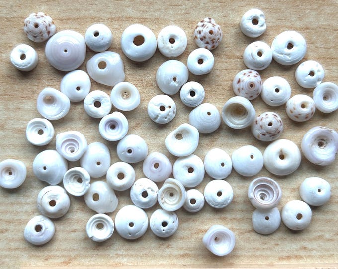 Hawaiian Puka Shells North Shore Assortment... - Etsy