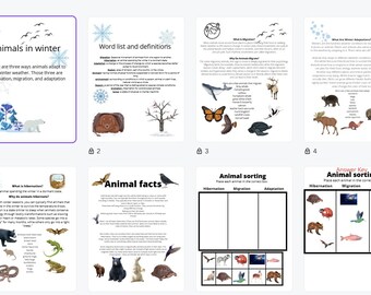 May include: A printable worksheet for children to learn about how animals adapt to winter. The worksheet includes a title page with the words "Animals in Winter", a word list and definitions page, an animal facts page, and an animal sorting activity. The sorting activity has three columns: hibernation, migration, and adaptation. The answer key is also included.