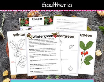 May include: A printable educational resource about wintergreen, a plant with medicinal properties. The resource includes a plant identification sheet, a page about the plant's uses, and a page with recipes. The resource is designed for children and includes illustrations of the plant.