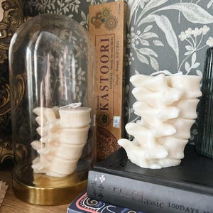 Pode incluir: Uma vela em forma de coluna vertebral creme está em um livro preto ao lado de uma caixa de incenso. Outra vela de coluna vertebral é exibida sob uma cúpula de vidro com base dourada.