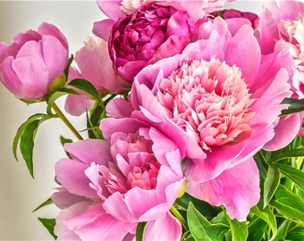 ✳︎peony✳︎ a276764065506587.jpg?x-oss-