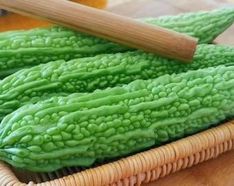 20 Bitter melon seeds VW91038