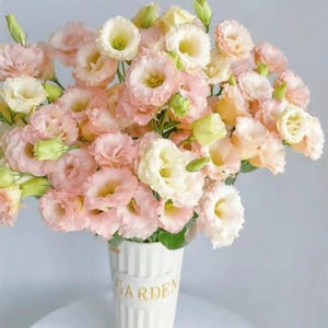 15 lisianthus seeds Artificial Flower Seeds FW2035-963