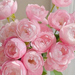 Pode incluir: Um ramo de rosas cor-de-rosa delicadas com pétalos macios. As rosas estão dispostas em um cacho, mostrando sua beleza e fragrância.
