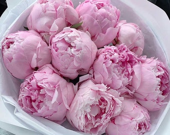 5 Peony Flower Seeds BW991010-5 - Etsy Canada