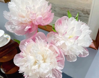 May include: Three pink and white peonies with ruffled petals. The flowers are in full bloom and have a delicate, feminine appearance.