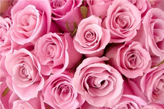 ROSE☆ROSE mandala-roses_grande.png?v=