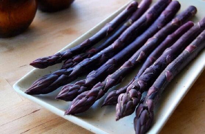 10 Purple Mary Washington Asparagus Seeds TW91010 image 2