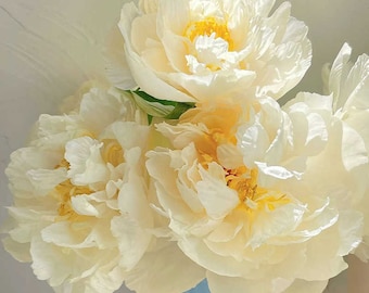 May include: A bouquet of white peonies with yellow centers in a blue and red vase.