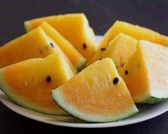5 Yellow Watermelon Seeds TW91003 - Etsy