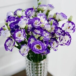 15 lisianthus seeds Artificial Flower Seeds FW2035-960