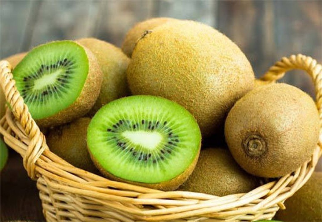 20 Kiwi Fruit Kiwi Actinidia Vine Seeds FW91015 - Etsy
