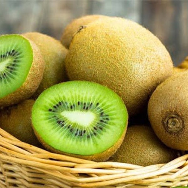 20 Kiwi Fruit Kiwi Actinidia Vine Seeds FW91015