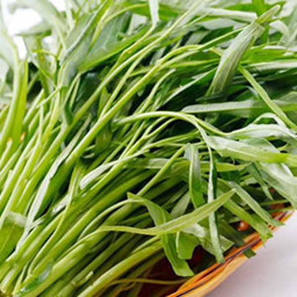 135 water spinach seeds VW91024