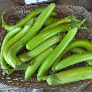 100 Long Green Eggplant Seeds VW91027