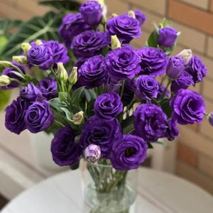 15 lisianthus seeds Artificial Flower Seeds FW2035-962
