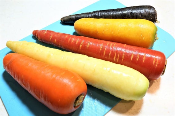300 Yellow Carrot Seeds AW95099 - Etsy
