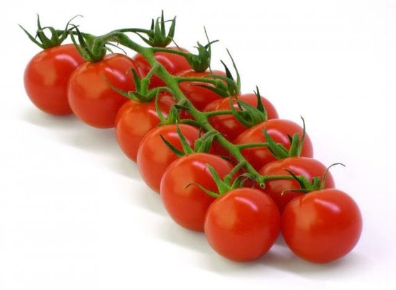 【レッチリとまと】 Red Cherry Tomato | the-clayton-farm