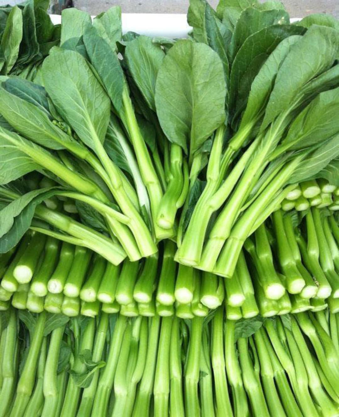 200 Yu Choy Sum Seeds AW98219 - Etsy