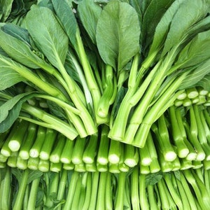 200 Yu Choy Sum Seeds AW98219
