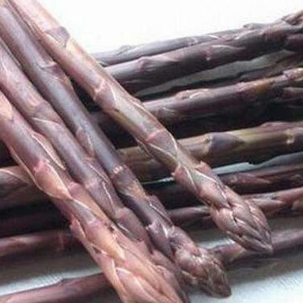 Asparagus Crowns 3 Year Etsy