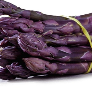 10 Purple Mary Washington Asparagus Seeds TW91010 image 4