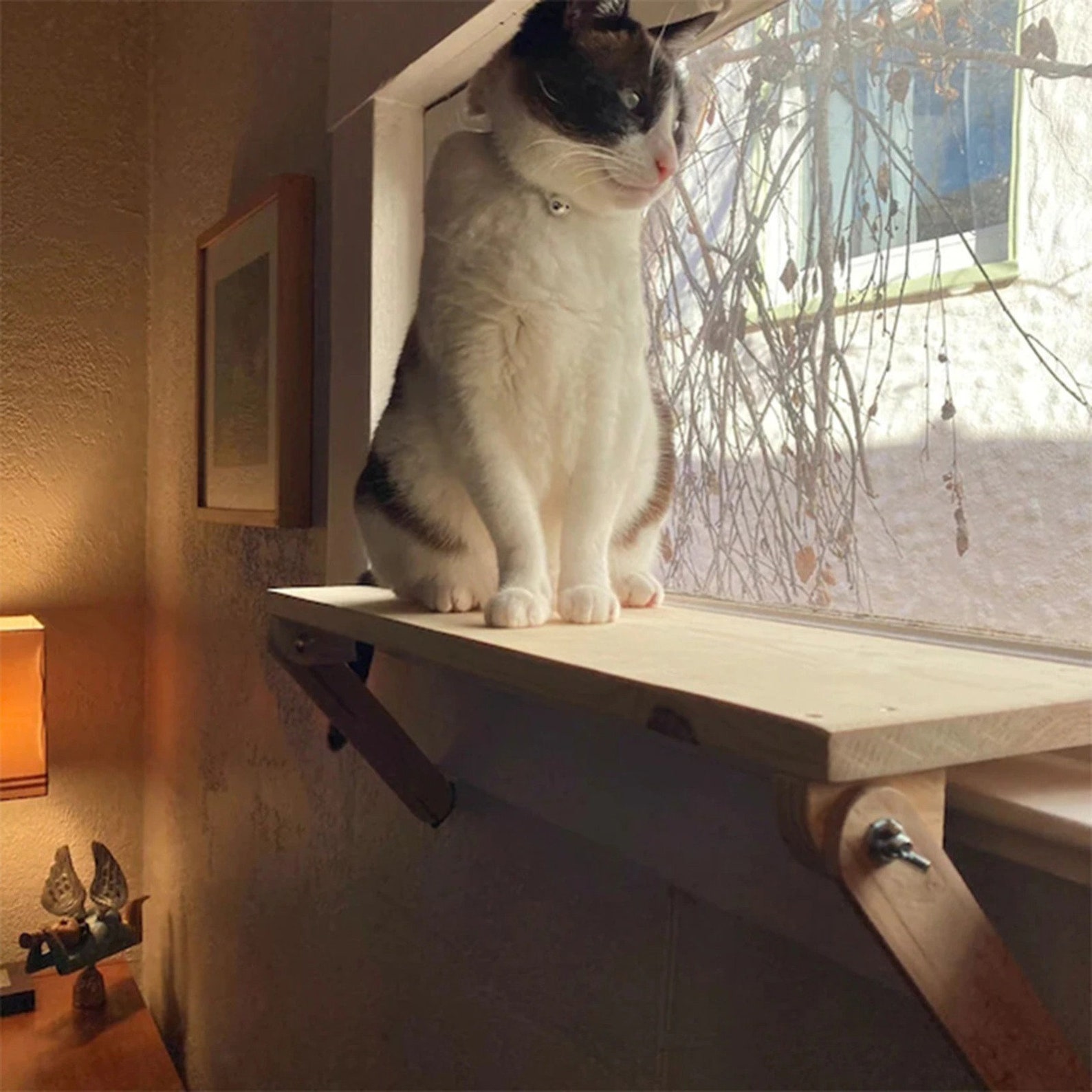 Cat Window Pole Wooden Window Mounted Bed Shelf for Cat Kitten Etsy