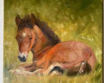 ORIGINAL horse portrait painting Foal oil painting on canvas 8x8 Equine Portrait Art/Farm animal art