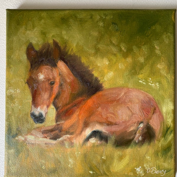 ORIGINAL horse painting Foal oil painting on canvas 8x8 Equine Art/Farm animal art